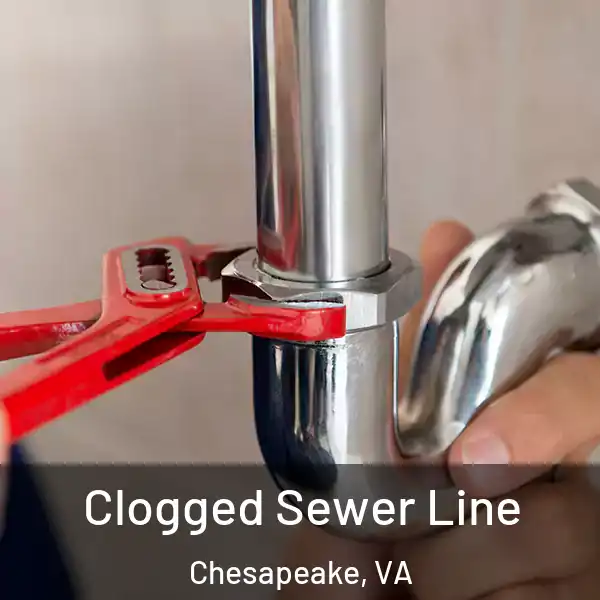  Clogged Sewer Line Chesapeake, VA